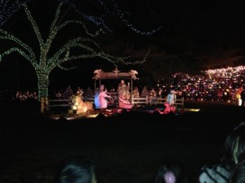2012-12-21 17 Trail of Lights.jpg